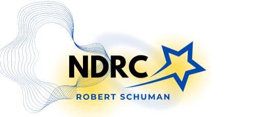 BTS NDRC Metz Logo du BTS NDRC du lycée Robert Schuman à Metz